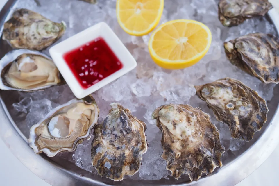 BookNoFees: Voorbeeldfoto: Oesters geserveerd op ijs met citroen en saus