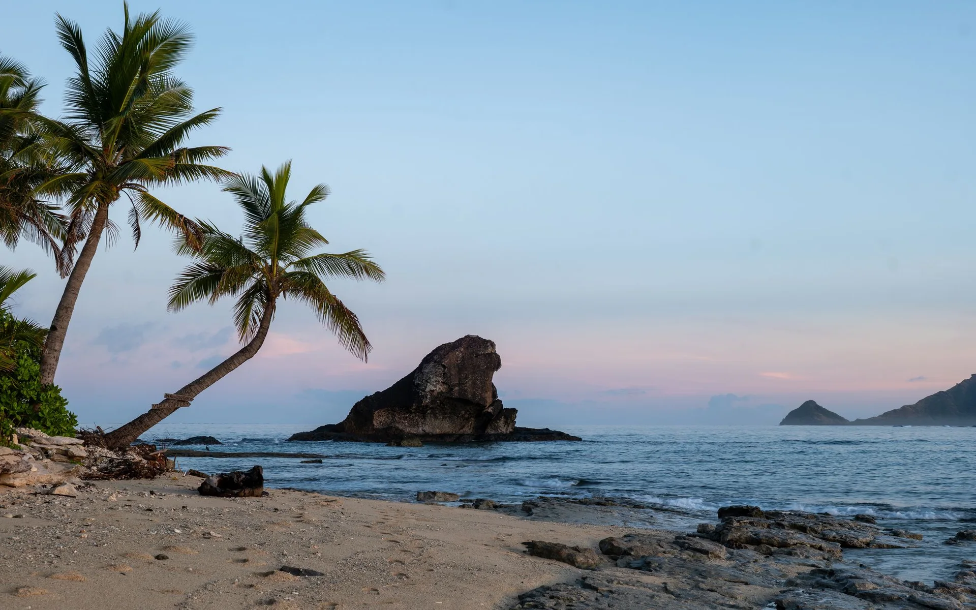 Palmbomen op het strand van Kuata Island bij zonsopgang