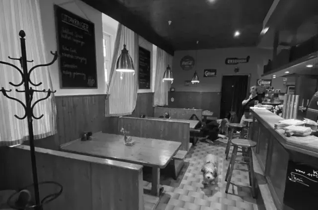 BookNoFees: Restaurant – Marienbeisl – Vienna – Marienbeisl, foto 3