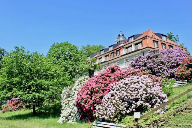 BookNoFees: Vakantieappartement Natuur en Kunst, Dresden, Saksisch Zwitserland – Dresden