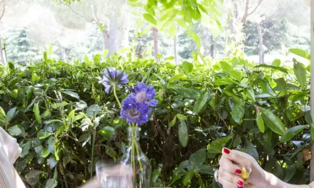 BookNoFees: Café – Vivi Villa Pamphilij – Rome – Ervaar Villa Pamphilij, foto 2
