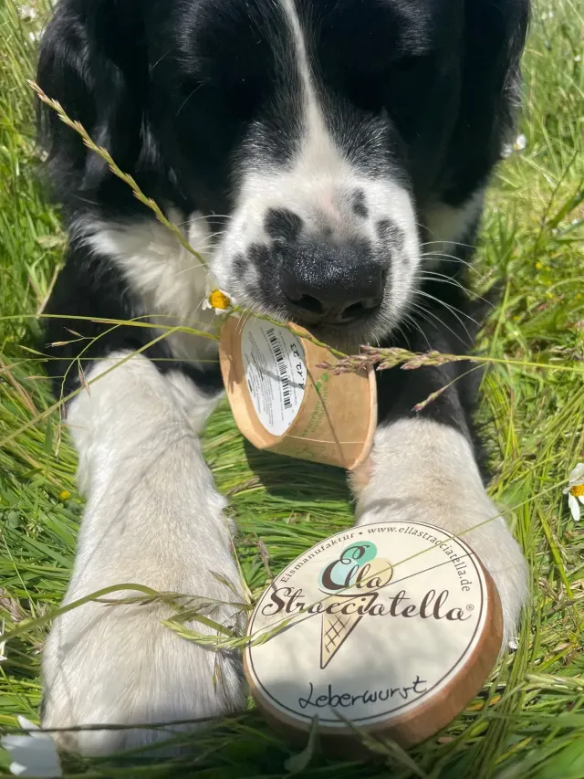 BookNoFees: IJs – Ella Stracciatella Eismanufaktur – Iserlohn – Ella Stracciatella IJsmanufaktuur, foto 3