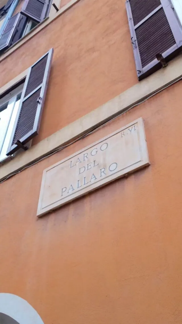 BookNoFees: Café – Le Tartarughe – Rome – De schildpadden, foto 2