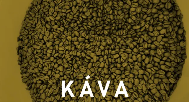 BookNoFees: Café – Ala Coffee – Prague – Ga naar Koffie, foto 2