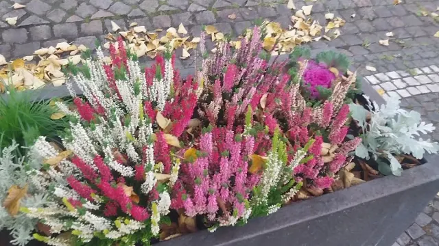 BookNoFees: Bakkerij – Bäcker Regina – Wenden – Bakker Regina, foto 3