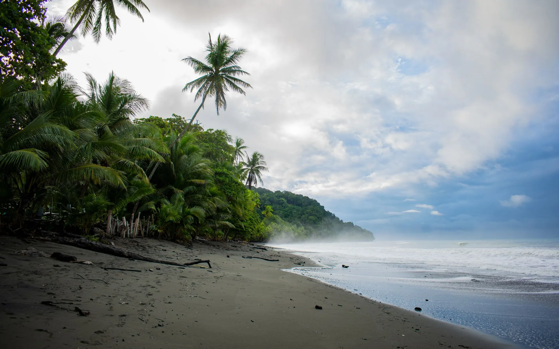 Palmbomen aan het strand van Pavones in Costa Rica