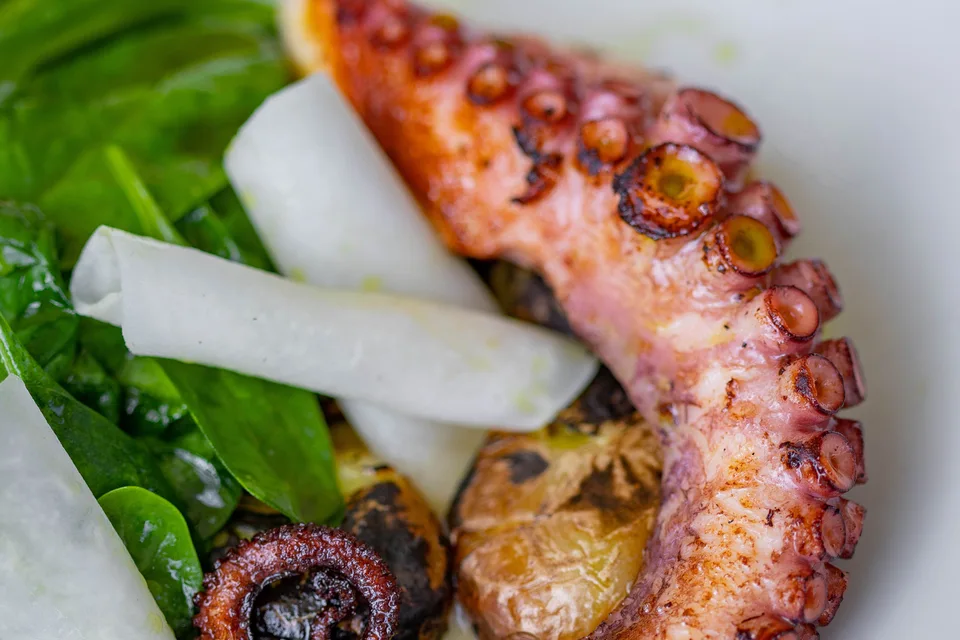 BookNoFees: Voorbeeldfoto: Gegrilde octopus