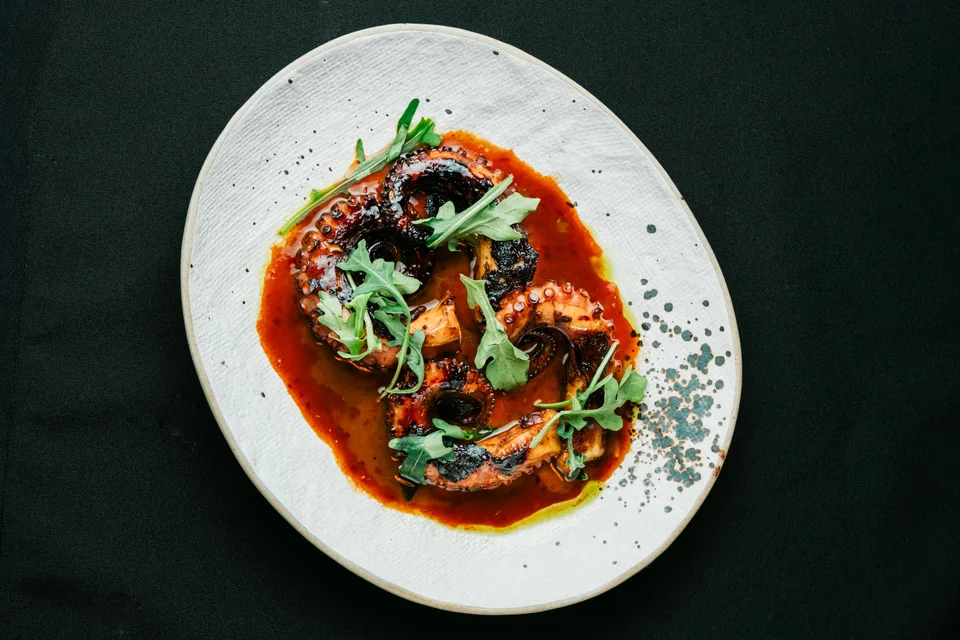 BookNoFees: Voorbeeldfoto: Octopus in tomatensaus met groenten